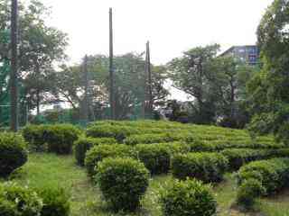 DSCN3924