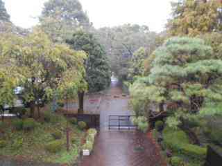 DSCN4467